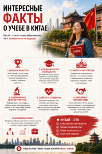 Учёба и работа